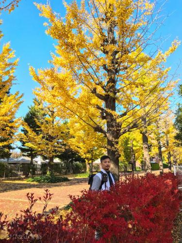 2017TateyamaKurobe Day09 1141