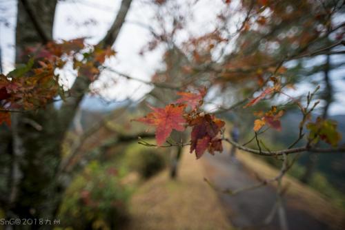 2018Kyushu Day4 0446