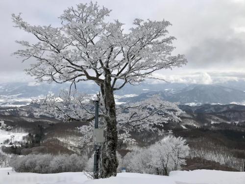 2018Madarao&Nozawa Day06 0115