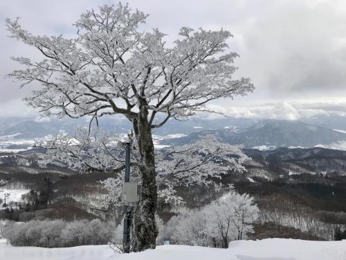 2018Madarao&Nozawa Day06 0119