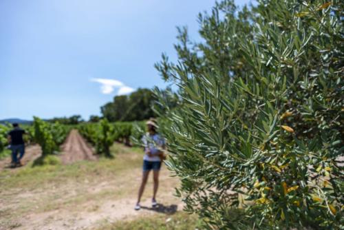 2019SpainFrance Day05 1027